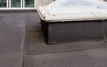 disadvantages of Tregunna flat roofs