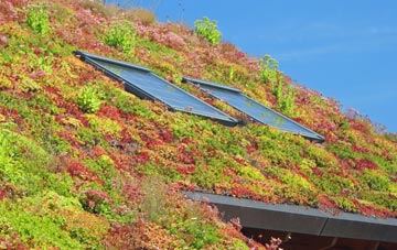 Tregunna living roof systems